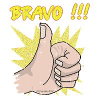 bravo STICKER