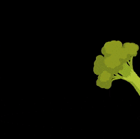 OtScan otscan отскань GIF