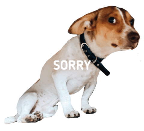 Dog Smile Sticker