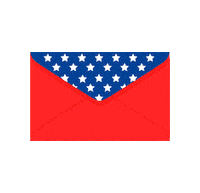 Register To Vote 2020 Election Sticker by Clarín