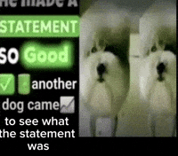 Statement Wok GIF