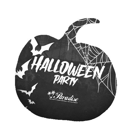 Party Love Sticker by Paradise Parties