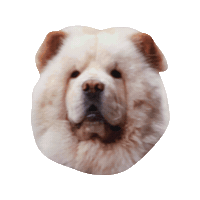 Archarmy Sticker by arch