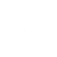 goosetheband logo vibe 2021 coach Sticker