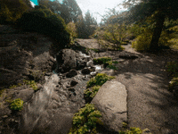 GIF by FranchiseONE.de