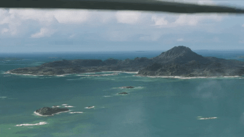 GIF by Call of Duty