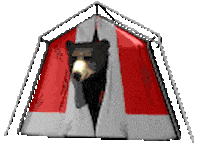 bear camping STICKER