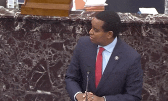 Impeachment GIF by GIPHY News