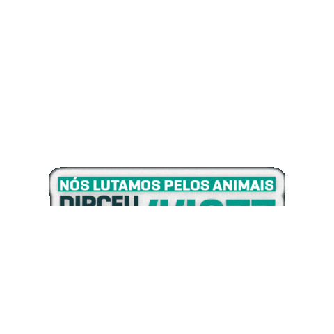 Sao Paulo Vereador Sticker by Felipe Becari