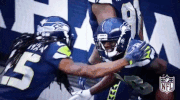 Seattle Seahawks Football GIF by NFL