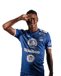 arabeunido panama c3 colon lpf Sticker