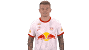 Red Bull Win Sticker by FC Red Bull Salzburg
