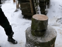 log GIF