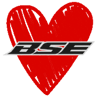 velocitygroup-russia motocross enduro bse bsemoto Sticker