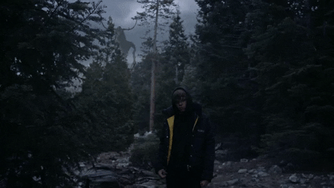 Forest Woods GIF by The Kid LAROI.