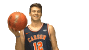C-N Sticker by Carson-Newman Athletics
