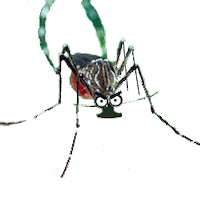 mosquito STICKER