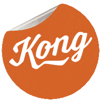 Kong_Screenprinting design texas austin shirt Sticker