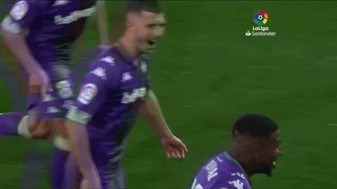 Celebrate Real Betis GIF by Real Betis Balompié