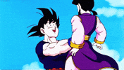 bulma GIF