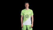 Germany Win GIF by VfL Wolfsburg