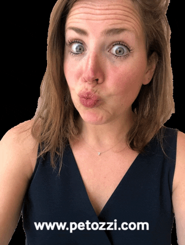 Petozzi_com giphygifmaker denbosch onlineshoppen petozzi GIF