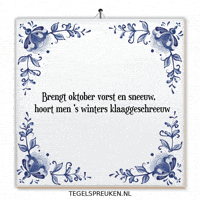 Winter Wijsheid GIF by Tegelspreuken.nl