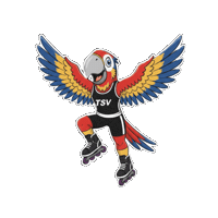 Skate Inliner Sticker by TSV Falkensee e.V.