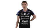 Floorball Salibandy Sticker by F-liiga