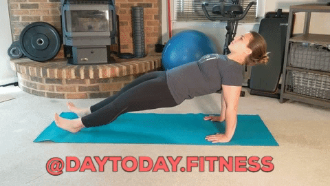 daytodayfitness giphygifmaker planks reverse plank day to day fitness GIF