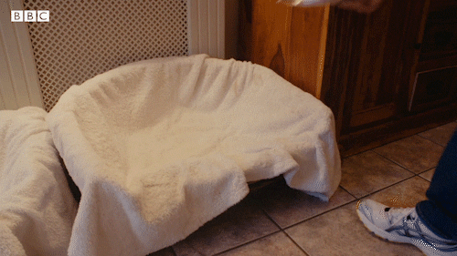 Bbc Two Cute Animals GIF by BBC