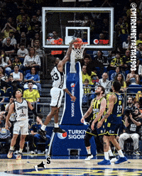 Beşiktaş Basketbol GIF