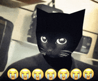 Bro Son GIF