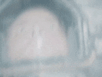 Sci-Fi Film GIF by Mama Bird Recording Co.