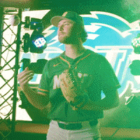 North Dakota State Baseball GIF by NDSU Athletics