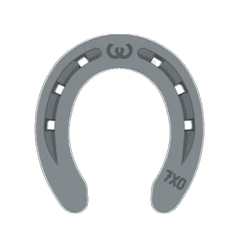 WerkmanHoofcare horseshoe farrier hufeisen hufschmied Sticker