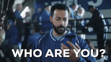 what who are you mayhem allstate car thief GIF
