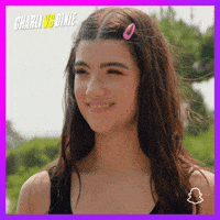 Dixie Snaporiginals GIF by Snap