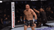 ufc 232 sport GIF by UFC