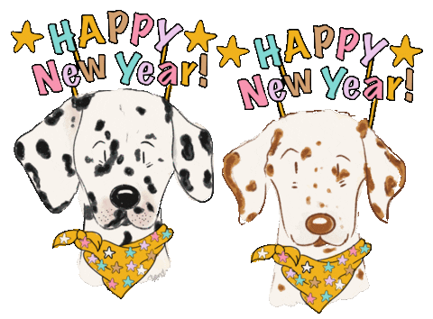 Newyear Sticker by Winkeltjevanbeer