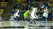 utah state usu mens basketball GIF by USUAthletics
