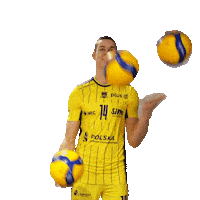 Stal_Nysa volleyball juggling plusliga siatkówka Sticker