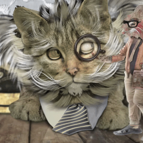 Cat Work GIF by Santi_OFF