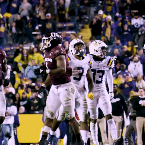 Death Valley Football GIF by LSU Tigers