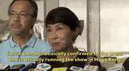 news hong kong carrie lam claudia mo GIF