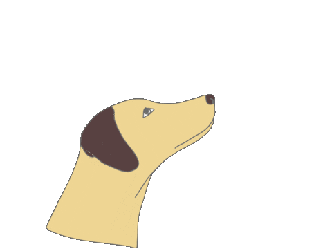 Dogs Hund Sticker by Lieblingshund Training