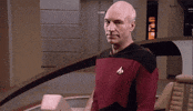 GIF by Giphy QA