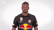 Come Here Red Bull GIF by FC Red Bull Salzburg