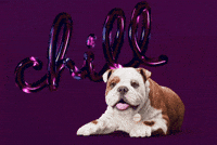 Relaxed Chill Out GIF by Churchill