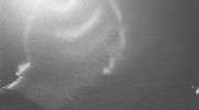 right on you GIF by Benjamin Booker